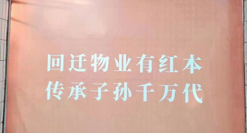 深圳遍地“咚咚咚” 挖掘机声为何成了“新特产”？